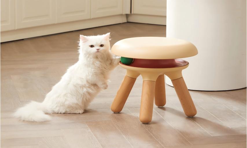 HANGZHOU TATA PET PRODUCTS TECHNOLOGY CO., LTD